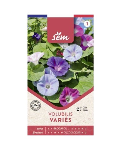 Volubilis variés