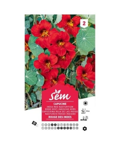 Capucine rouge des Indes (sachet)