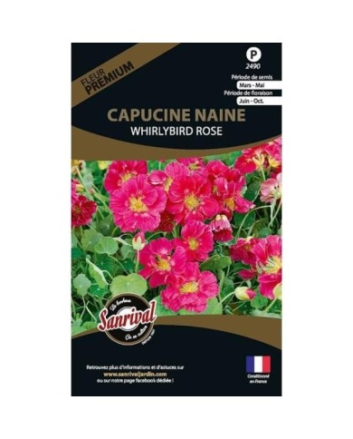 Capucine naine whirlybird rose (sachet)