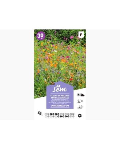 Jachère mellifère : fleurs en mélange pour les abeilles