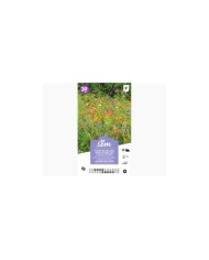 Jachère mellifère : fleurs en mélange pour les abeilles