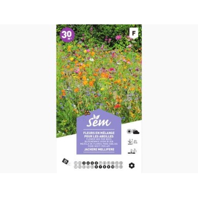 Jachère mellifère : fleurs en mélange pour les abeilles