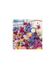Fleur en mélange pour bouquet sec