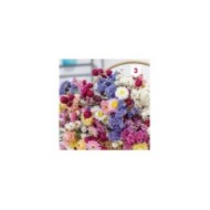 Fleur en mélange pour bouquet sec