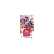 Fleur en mélange pour bouquet sec (sachet)
