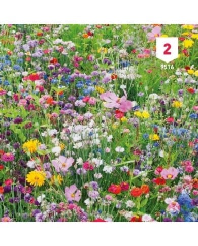 Fleur en mélange pour massifs