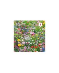 Fleur en mélange pour massifs