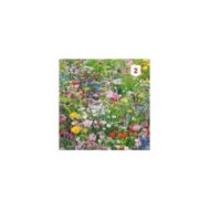 Fleur en mélange pour massifs