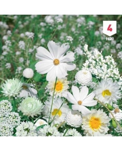Mélange bouquet de fleuristes blanc XXL