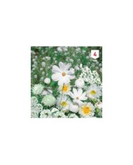 Mélange bouquet de fleuristes blanc XXL