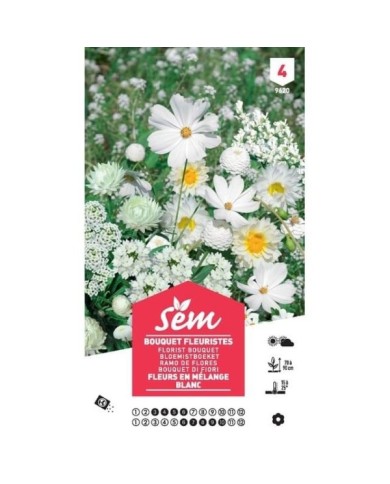 Mélange bouquet de fleuristes blanc XXL (sachet)