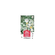 Mélange bouquet de fleuristes blanc XXL (sachet)