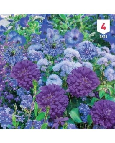 Mélange bouquet de fleuristes bleu XXL