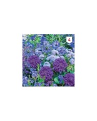 Mélange bouquet de fleuristes bleu XXL