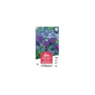 Mélange bouquet de fleuristes bleu XXL (sachet)