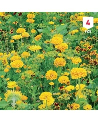 Mélange bouquet de fleuristes jaune XXL