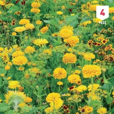 Mélange bouquet de fleuristes jaune XXL