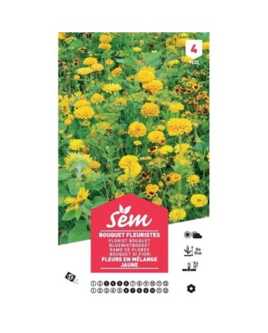 Mélange bouquet de fleuristes jaune XXL (sachet)