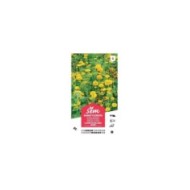Mélange bouquet de fleuristes jaune XXL (sachet)