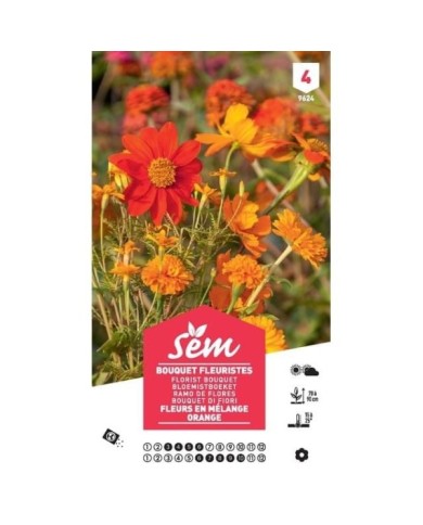Mélange bouquet de fleuristes orange XXL (sachet)