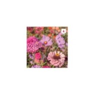 Mélange bouquet de fleuristes Rose XXL