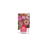 Mélange bouquet de fleuristes Rose XXL (sachet)