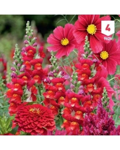Mélange bouquet de fleuristes rouge XXL