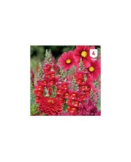 Mélange bouquet de fleuristes rouge XXL