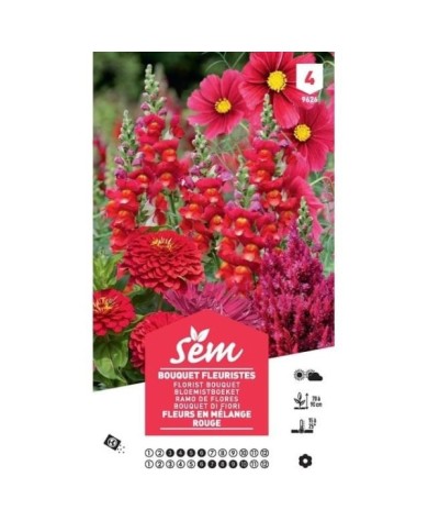 Mélange bouquet de fleuristes rouge XXL (sachet)