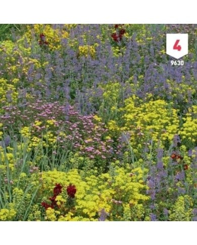Fleurs des montagnes en mélange XXL