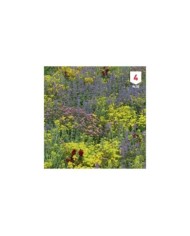 Fleurs des montagnes en mélange XXL