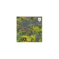 Fleurs des montagnes en mélange XXL