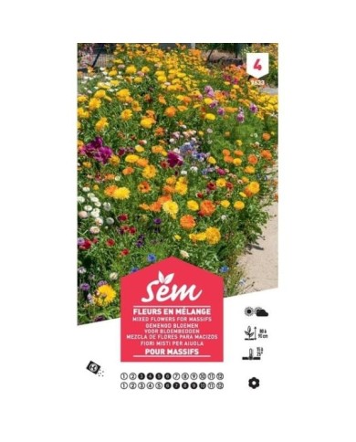 Fleurs en mélange pour massifs XXL (sachet)