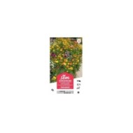 Fleurs en mélange pour massifs XXL (sachet)