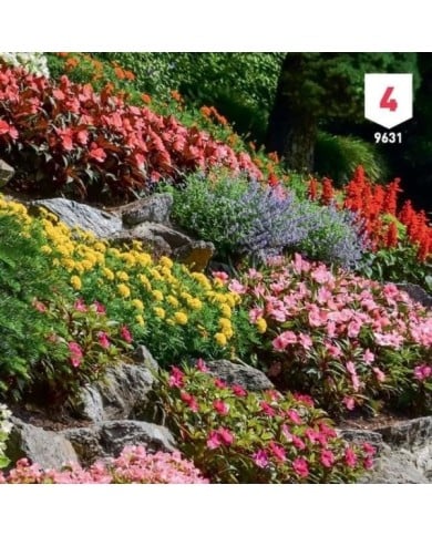 Fleurs en mélange rocailles XXL