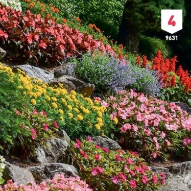 Fleurs en mélange rocailles XXL