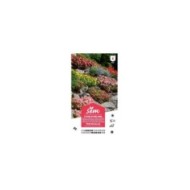 Fleurs en mélange rocailles XXL (sachet)