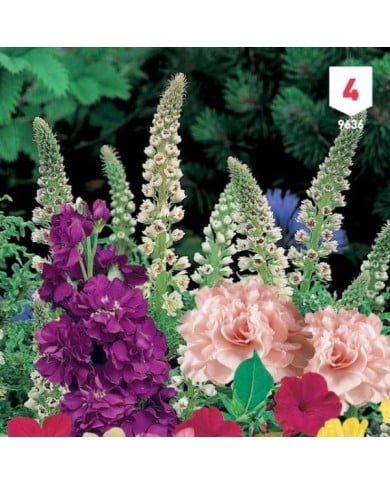 Fleurs mille senteurs en mélange XXL
