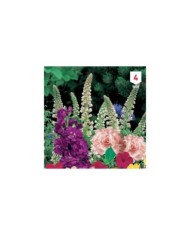 Fleurs mille senteurs en mélange XXL