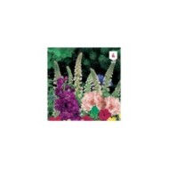 Fleurs mille senteurs en mélange XXL