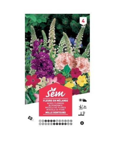 Fleurs mille senteurs en mélange XXL (sachet)