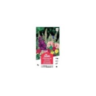 Fleurs mille senteurs en mélange XXL (sachet)