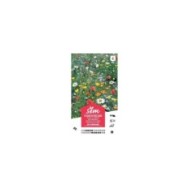 Fleurs de campagne en mélange XXL (sachet)