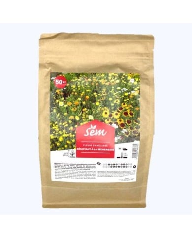 Mélange de fleurs "Résistant à la sécheresse"