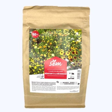 Mélange de fleurs "Résistant à la sécheresse"