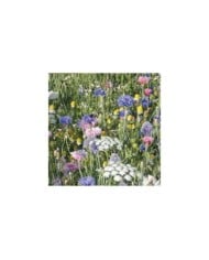 Tapis Pastel