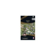 Tapis Pastel (sachet)