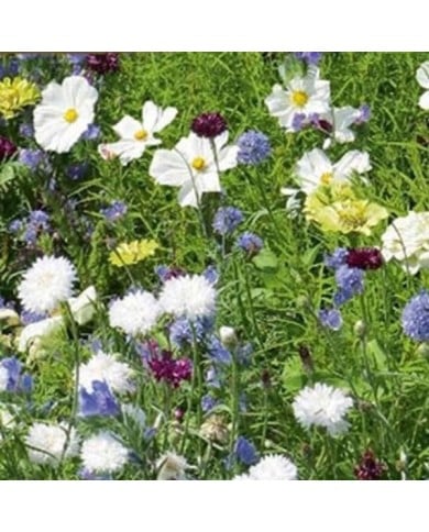 Tapis Rêve de fleurs