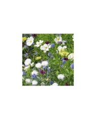 Tapis Rêve de fleurs