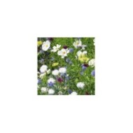 Tapis Rêve de fleurs